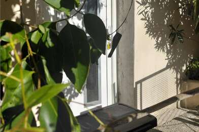 Maison 4 pièces 238000 €