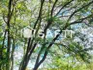 Un terrain clos non constructible, de loisir avec eau de la ville puits et arbres — photo 3
