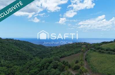Terrain constructible 5 193 m2 Le Carbet vue mer — photo du bien