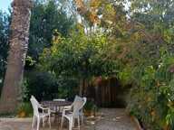 Maison - 5 pièces - Hyères — photo 4