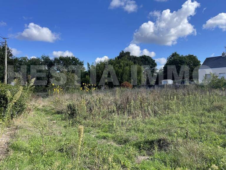 Nouveauté — photo 1