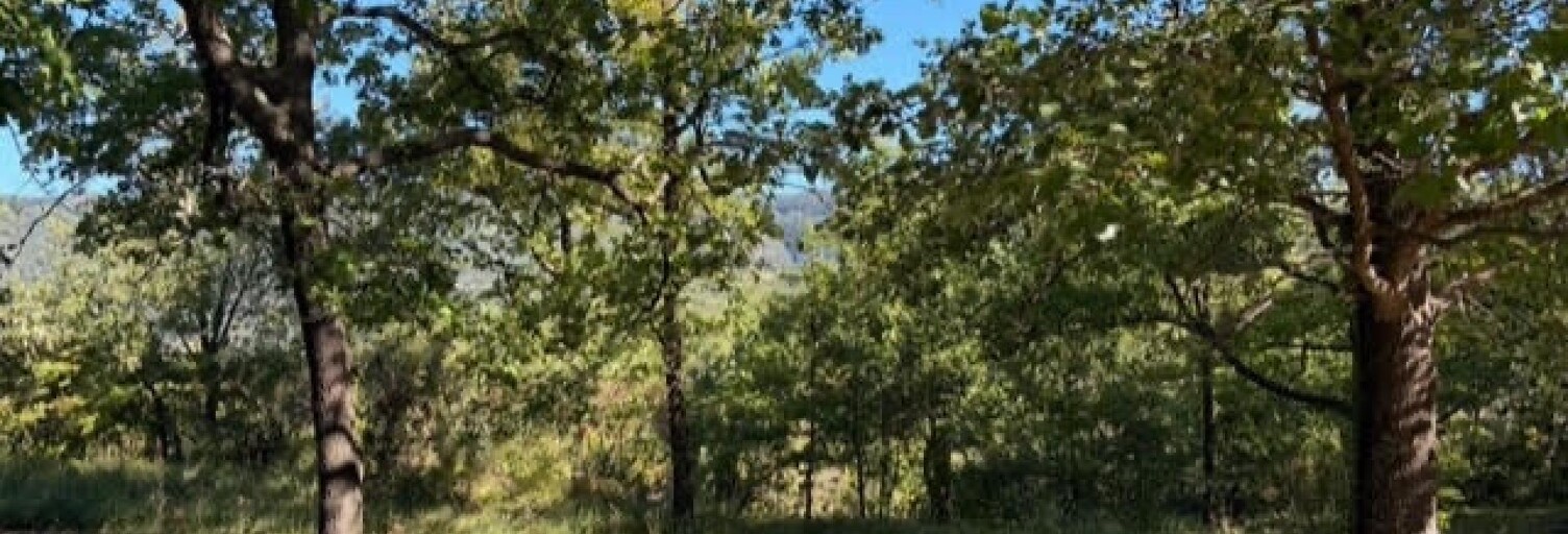 Terrain  6570 m² à vendre à Fozières (34700)