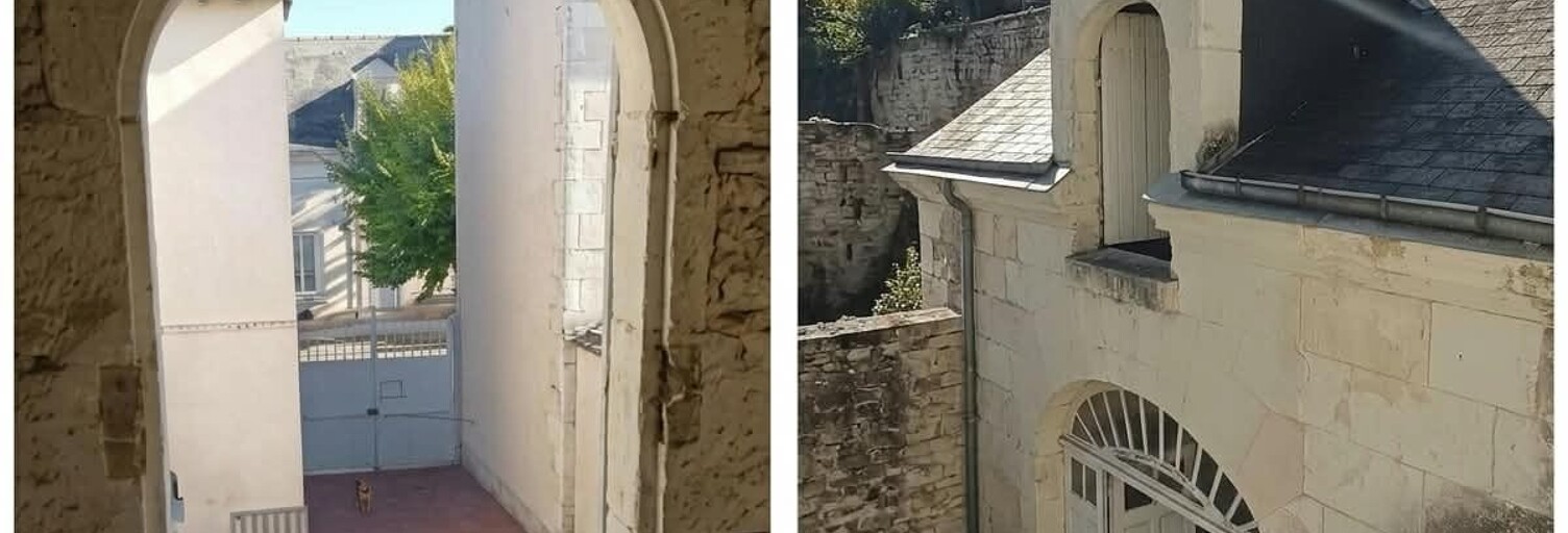 Maison 7 Pièces 215 m² à vendre à Saint-Aignan (41110)