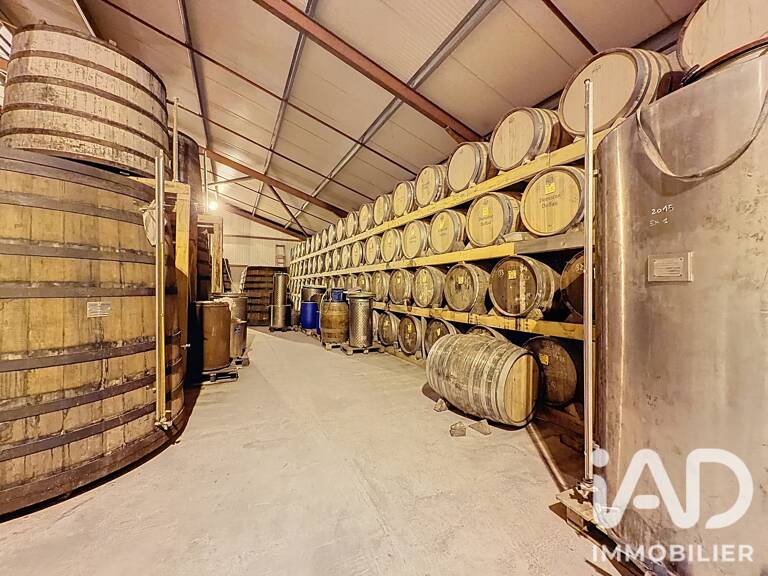 Vente Domaine 6 pièces — photo 1