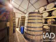 Vente Domaine 6 pièces — photo 3