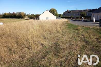 Terrain  56500 €