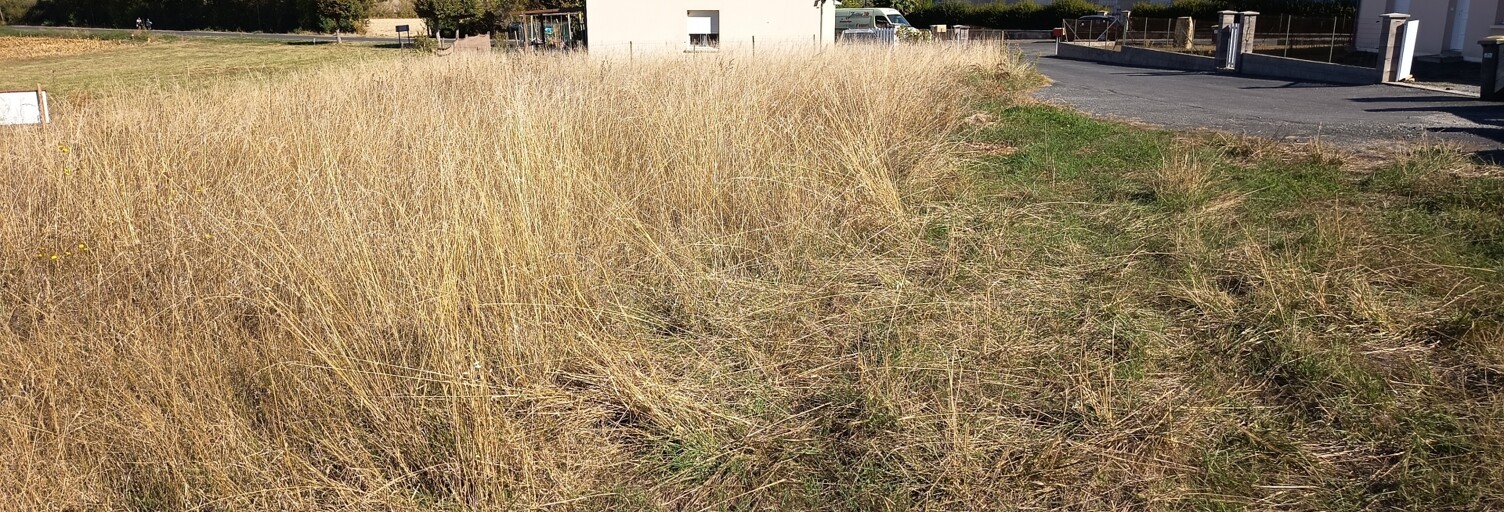 Terrain  901 m² à vendre à Louresse-Rochemenier (49700)