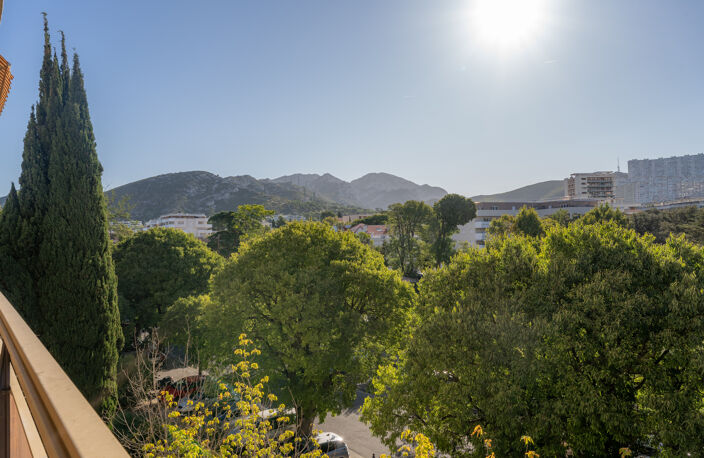 VERTES COLLINES — photo 3