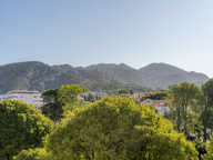 VERTES COLLINES — photo 4