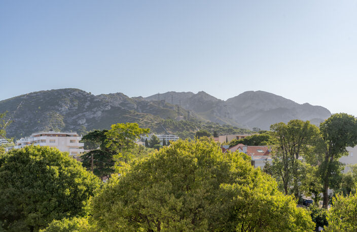 VERTES COLLINES — photo 4