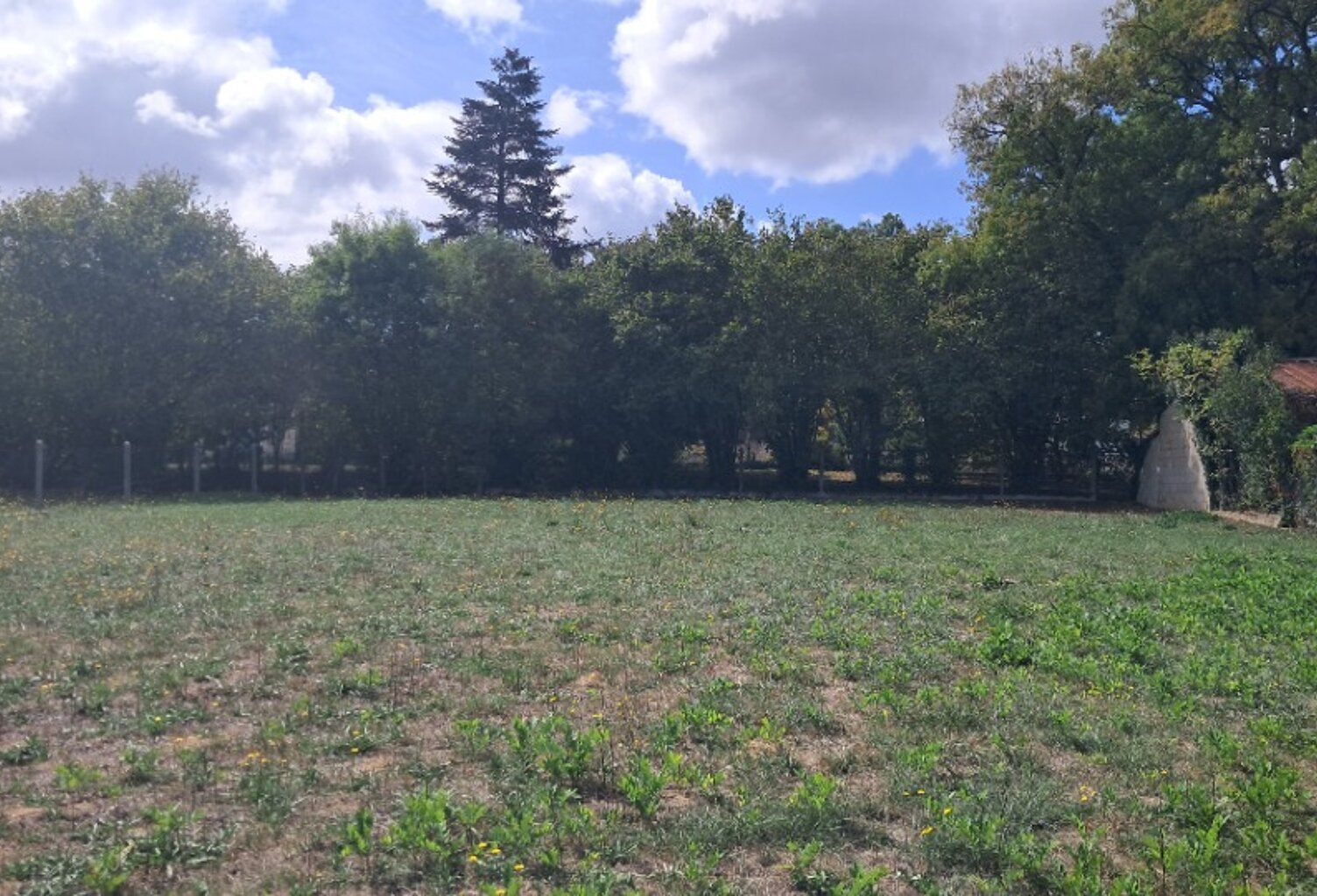 Terrain à bâtir à Jonzac (17500) — photo 1