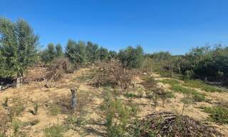 Terrain  15115 m² à vendre à Aimargues (30470)