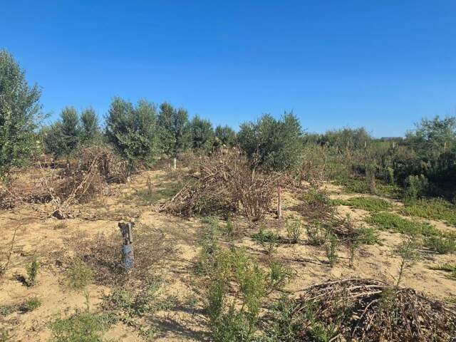 Terrain agricole de 15 000 m² environ, proche d’Aimargues — photo du bien