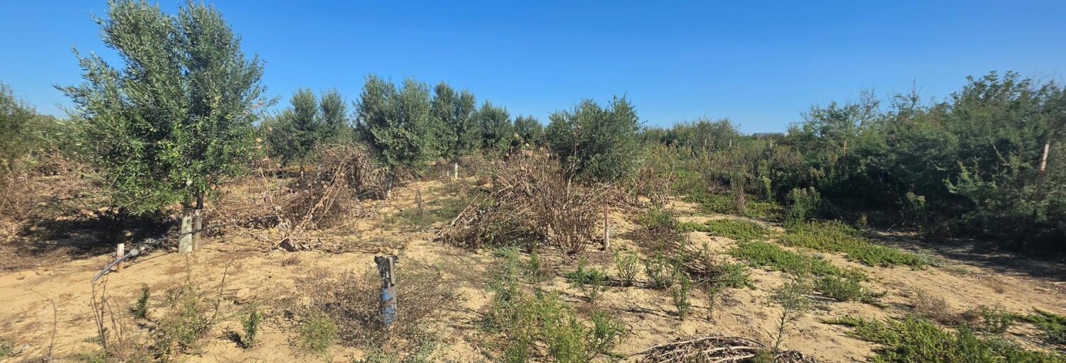 Terrain  15115 m² à vendre à Aimargues (30470)