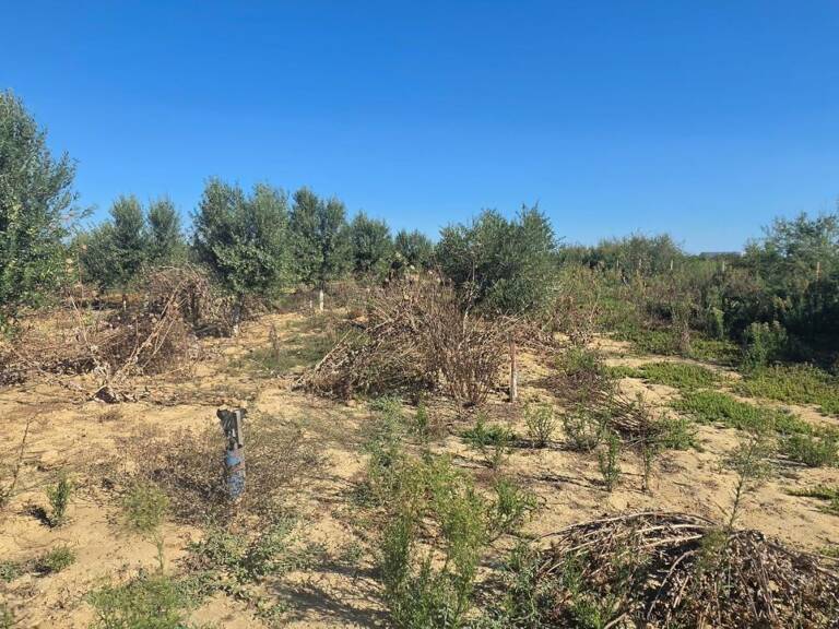 Terrain agricole de 15 000 m² environ, proche d’Aimargues — photo 1