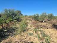 Terrain agricole de 15 000 m² environ, proche d’Aimargues — photo 2