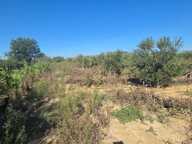 Terrain agricole de 15 000 m² environ, proche d’Aimargues — photo 4