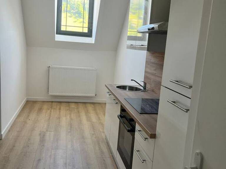 Appartement de 52m2 à louer sur Saint-Léger-du-Bourg-Denis — photo 1