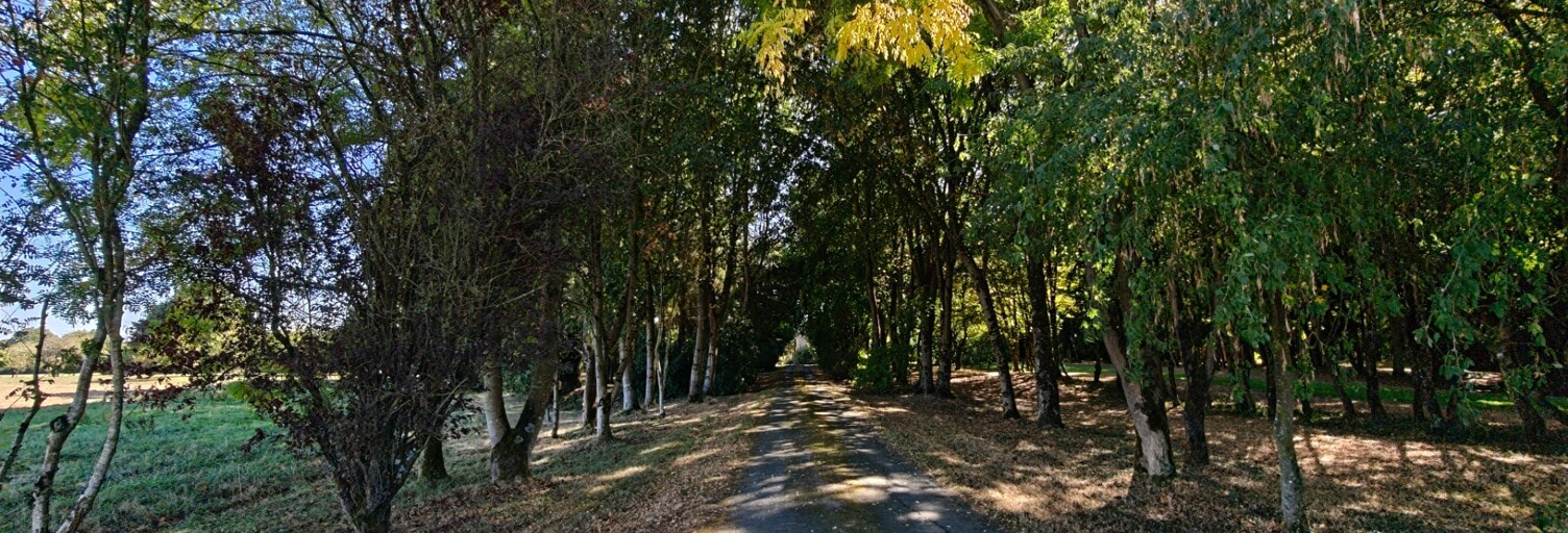 Maison 6 Pièces 130 m² à vendre à Montauban-de-Bretagne (35360)
