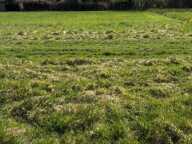 Terrain à vendre de 2 311,00 m² CROISY SUR ANDELLE (76) — photo 4