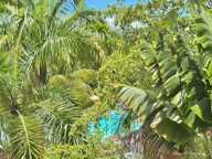 A VENDRE – DEUX STUDIOS RENOVES ET COMMUNICANTS – JUSQU’A 8 PERSONNES – SAINTE-ANNE — photo 2