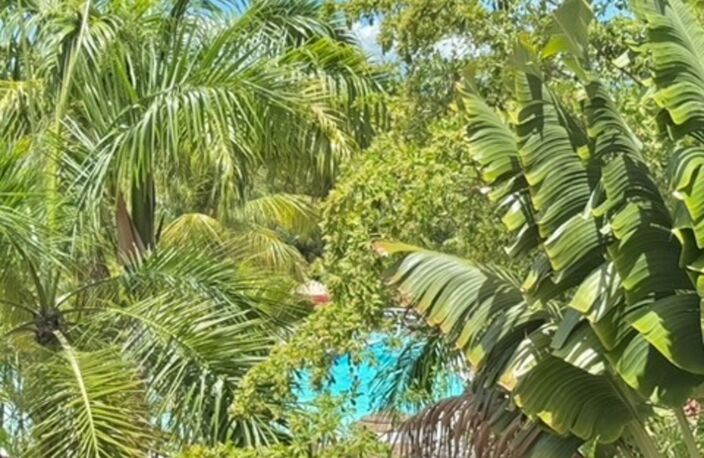 A VENDRE – DEUX STUDIOS RENOVES ET COMMUNICANTS – JUSQU’A 8 PERSONNES – SAINTE-ANNE — photo 2