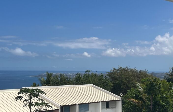 Appartement à vendre 2 pièces PLATEAU CAILLOUX (974) — photo 3