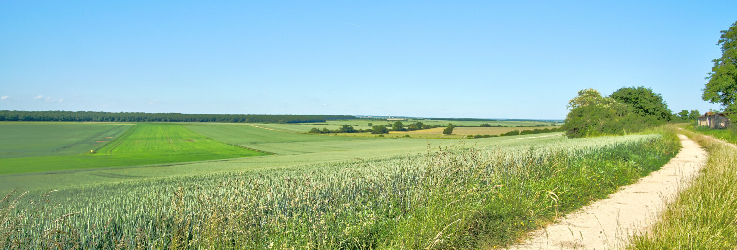 Photo N° 2
