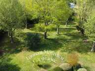 Magnifique demeure en pierre avec grand jardin, piscine & espace professionnel — photo 3