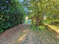 TERRAIN A BATIR 1400M² PARC NOMBREUX ARBRES — photo 4