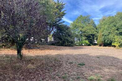 Terrain  315000 €