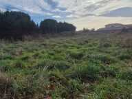 LEGUEVIN  TERRAIN PLAT VIABILISE  DE 1274 M2 — photo 4
