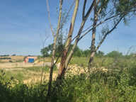 L'ISLE JOURDAIN - TERRAIN VIABILISE DE 1150 m2 — photo 3