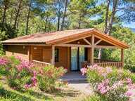 SOLLIES-TOUCAS ! COTTAGE DE 34M2 AVEC TERRASSE — photo 2