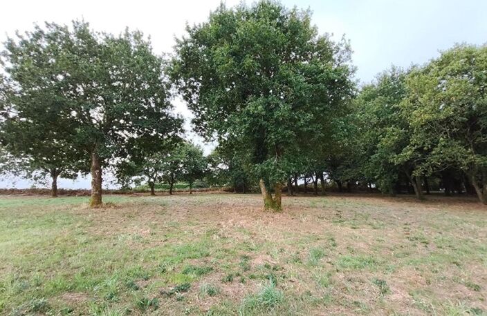 29270 Carhaix terrain constructible à 5 mn du centre ville, au calme — photo 2