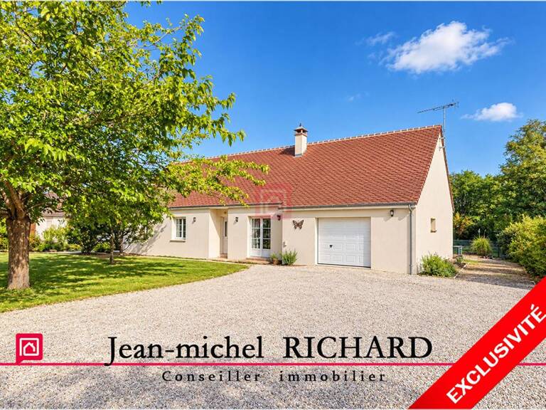 Maison Chatillon Sur Cher 5 pièce(s) 204 m2 — photo 1
