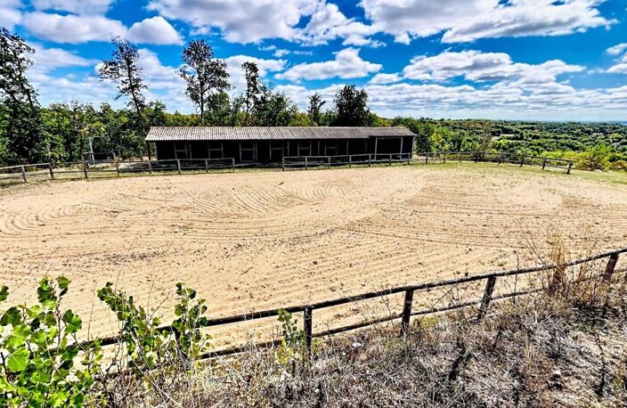 Propriété d'exception aux portes d'Albi 9 pièce(s) 310 m2 — photo 3