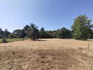 Maison 50m² sur terrain 2 500m², Divatte sur Loire (44450) — photo 2