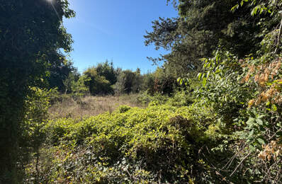 Terrain constructible 1960m2 - LAUDUN centre — photo du bien