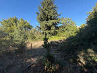 Terrain constructible 1960m2 - LAUDUN centre — photo 2