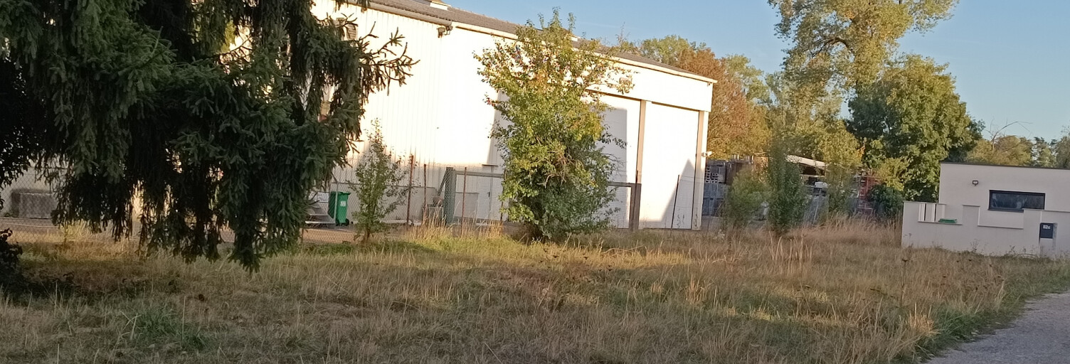 Photo N° 2