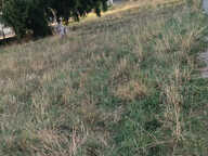 Terrain constructible — photo 4
