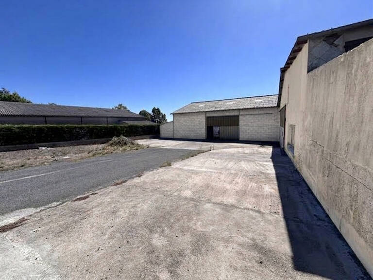 Local professionnel - 300 m2 - REQUISTA — photo 1