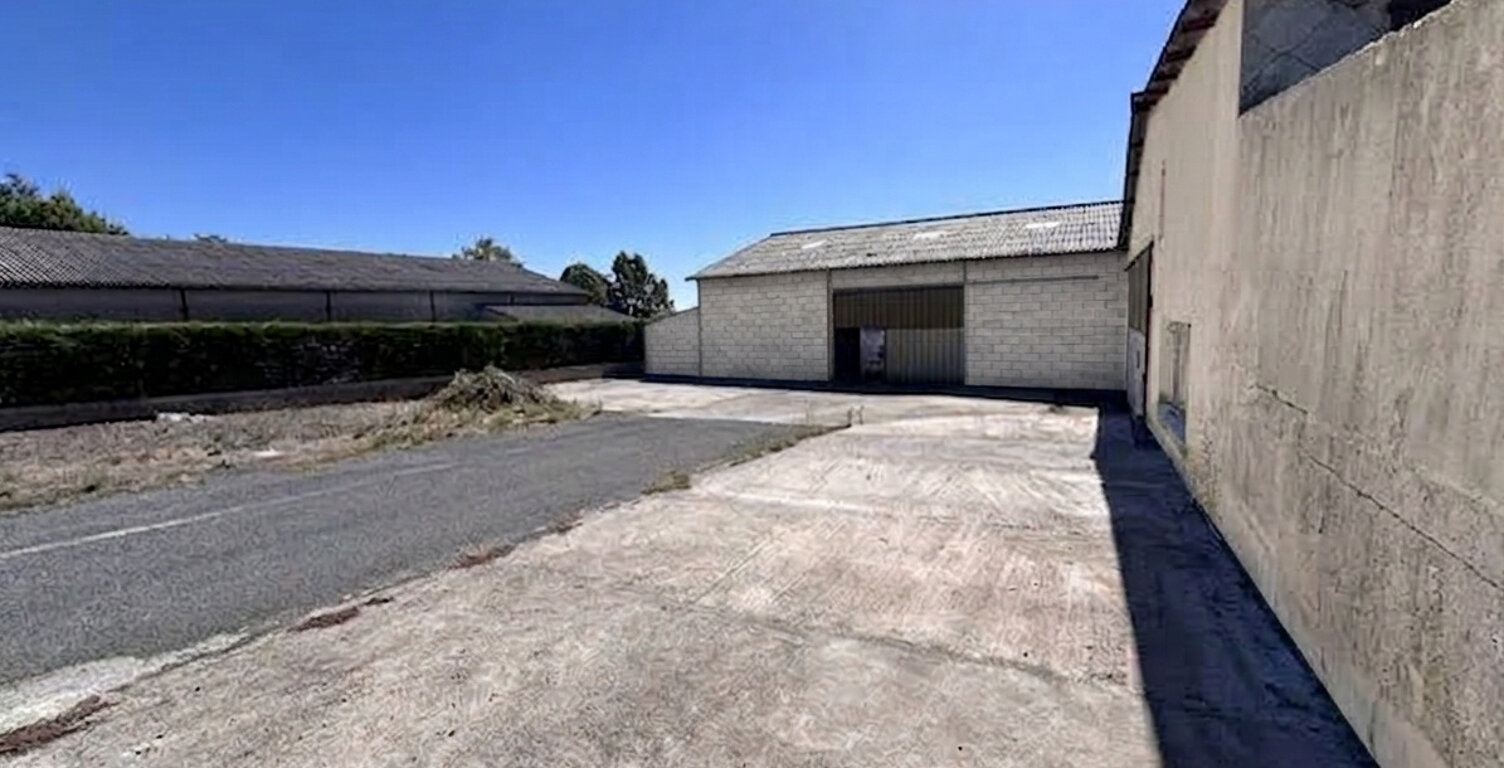 Local professionnel - 300 m2 - REQUISTA — photo 1