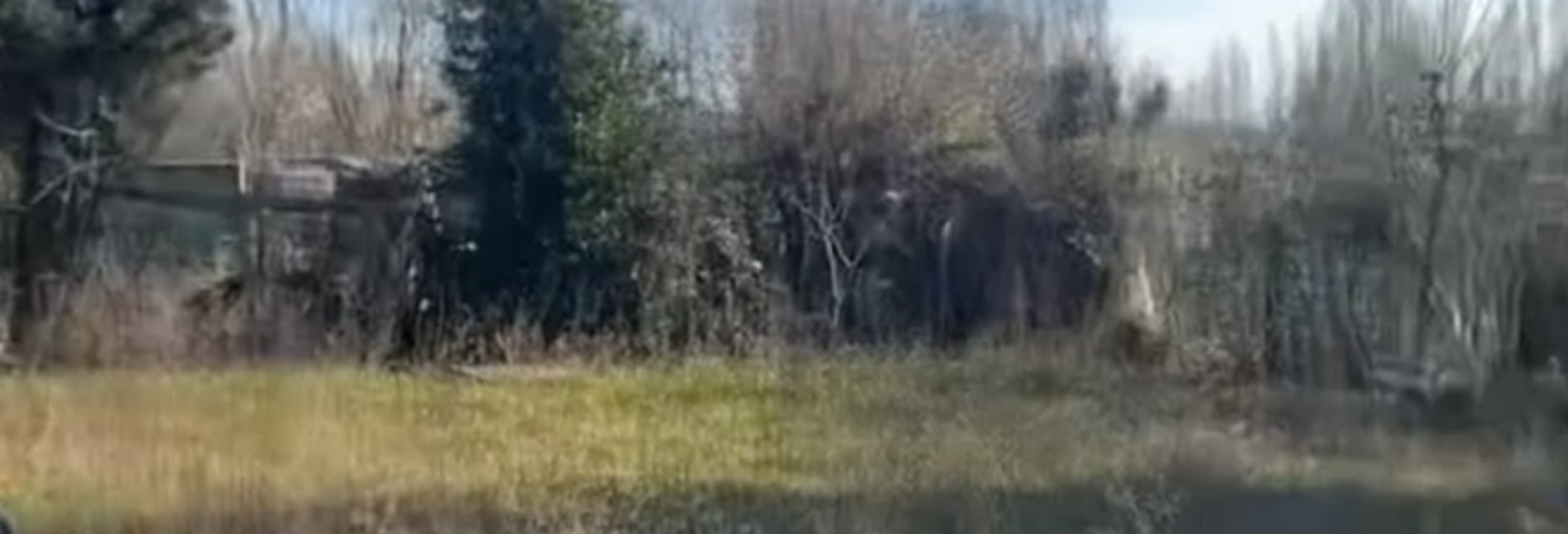 Terrain  640 m² à vendre à Narbonne (11100)