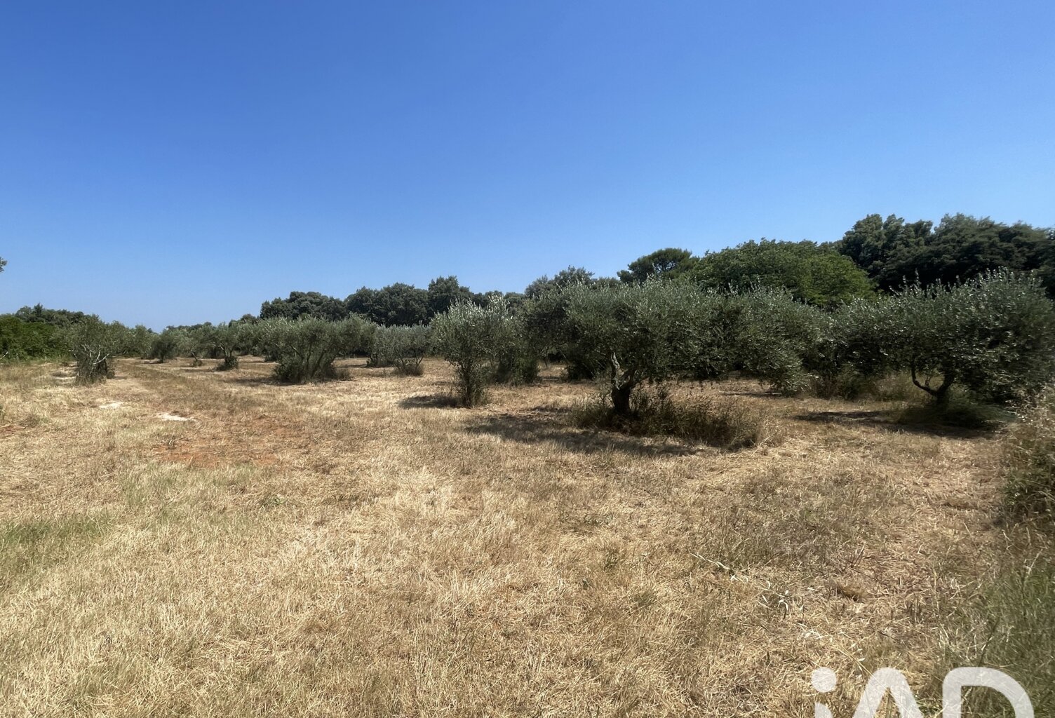 Vente Terrain à bâtir 1 764 m&sup2; — photo 1