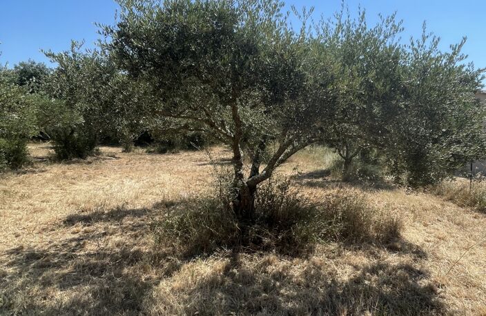 Vente Terrain à bâtir 1 764 m&sup2; — photo 2