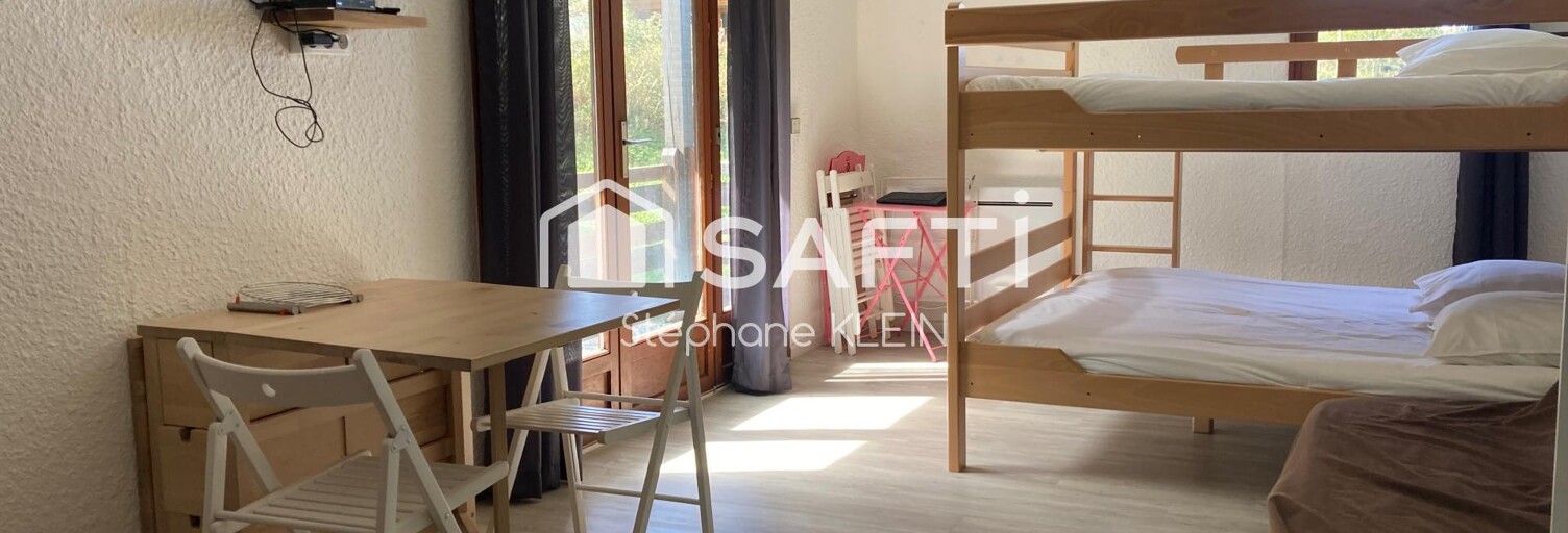 Appartement 1 Pièce 27 m² à vendre à La Morte (38350)