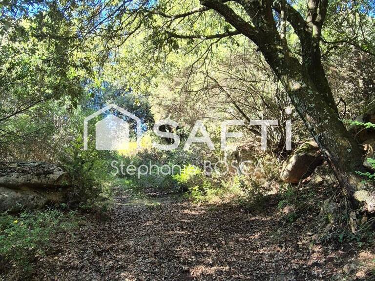 TERRAIN A BATIR VIABILISE DE 3 800 m2 — photo 1