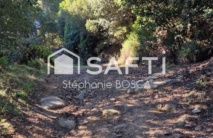 TERRAIN A BATIR VIABILISE DE 3 800 m2 — photo 5